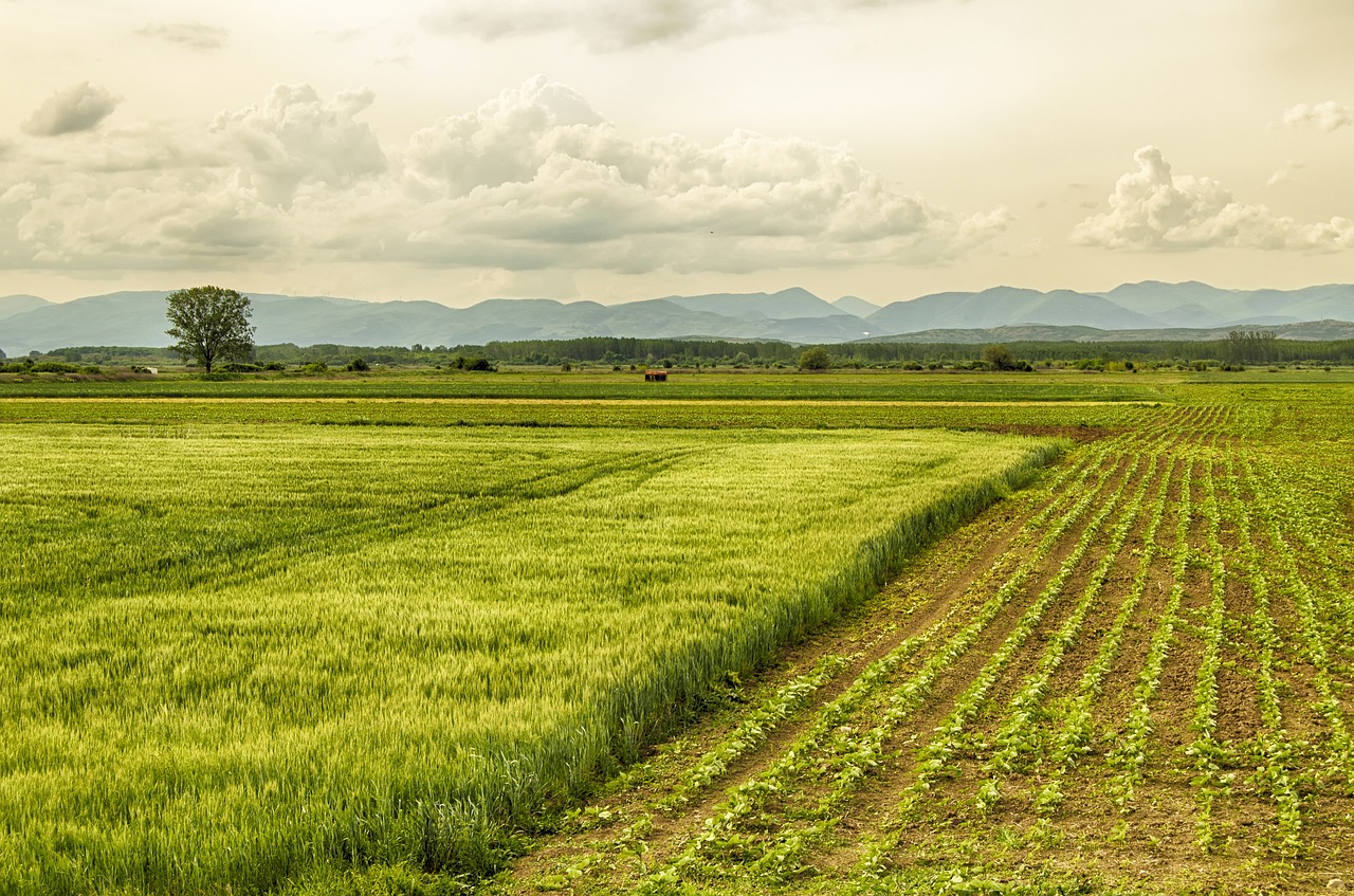 The Importance of Crop Rotation in Sustainable Farming